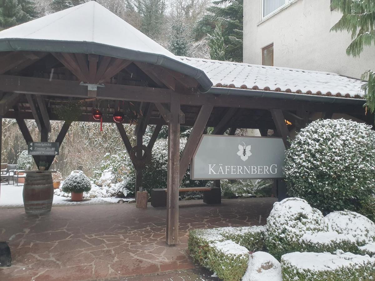 Kaefernberg - Weinhotel Alzenau Exterior foto